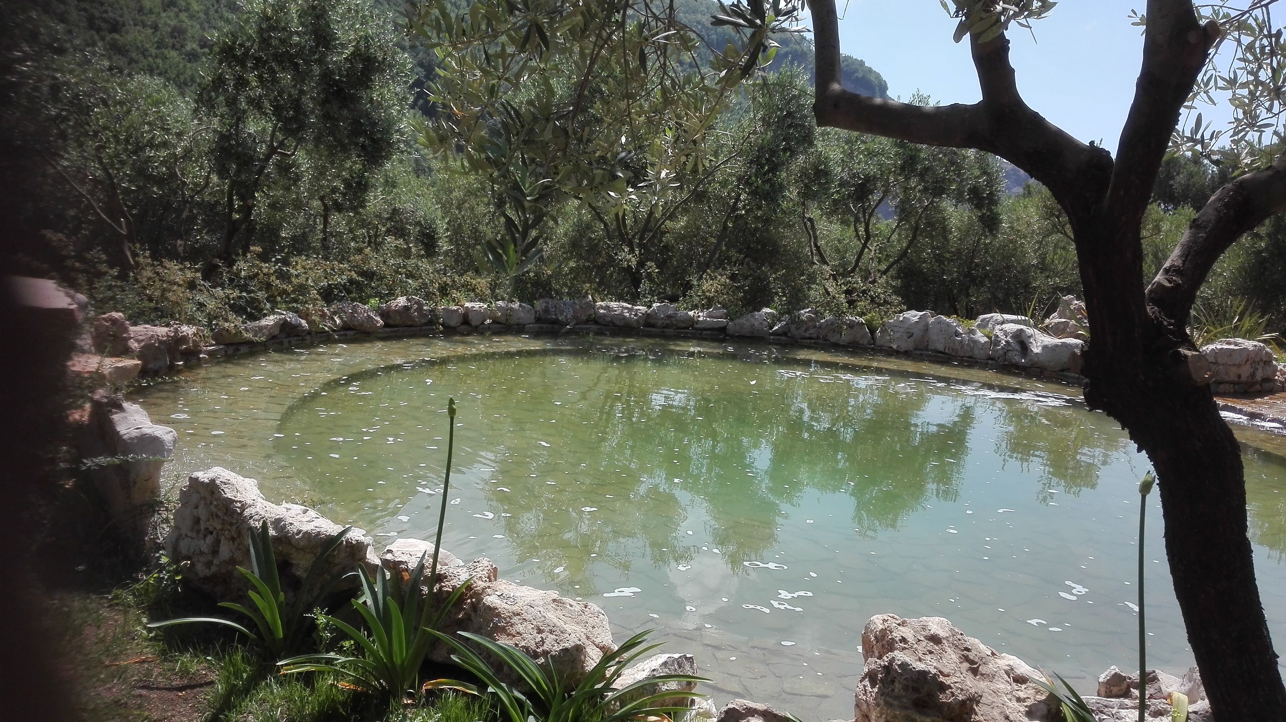 giardini-e-paesaggi-di-giannelli-alessandro