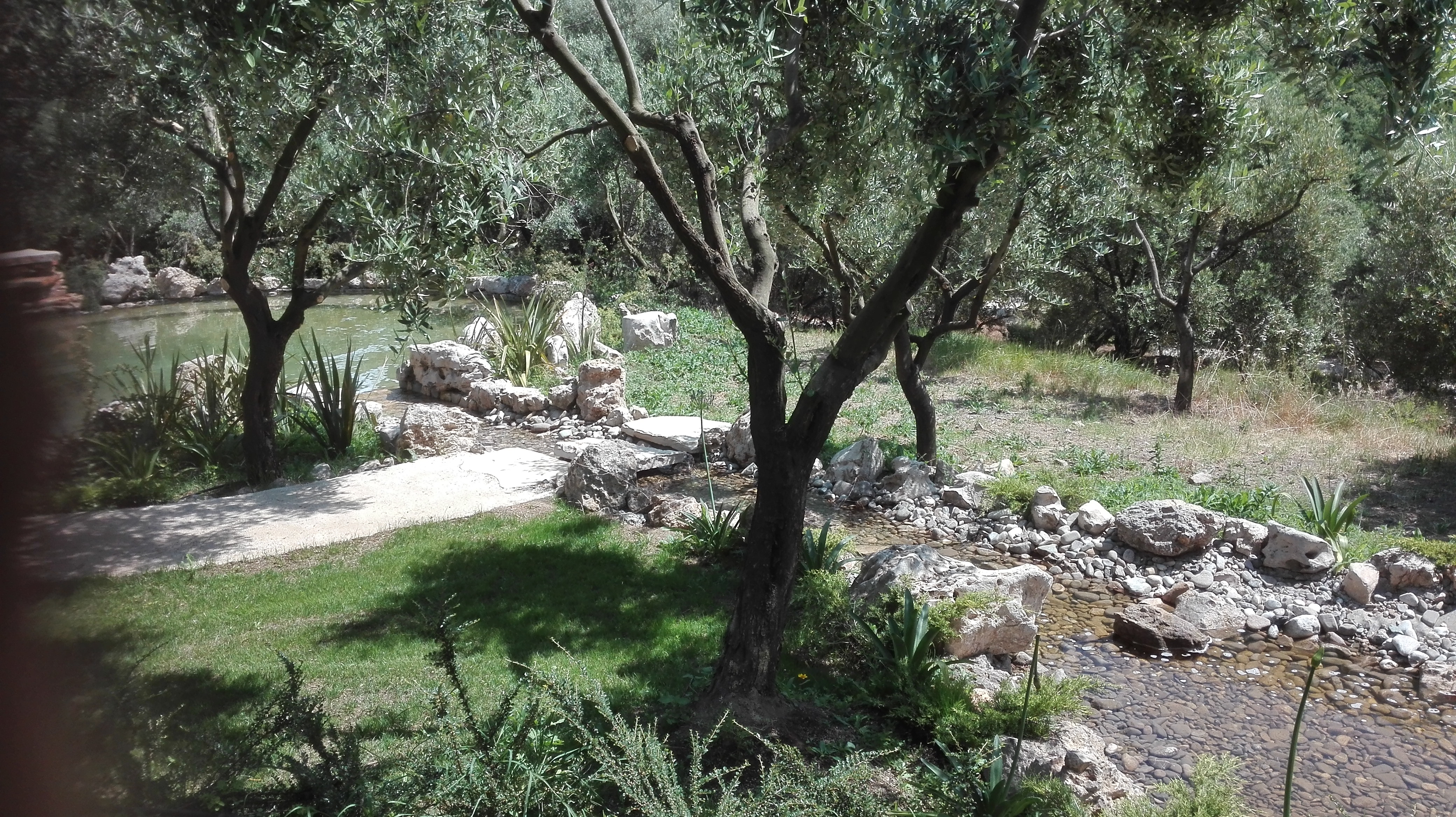 giardini-e-paesaggi-di-giannelli-alessandro