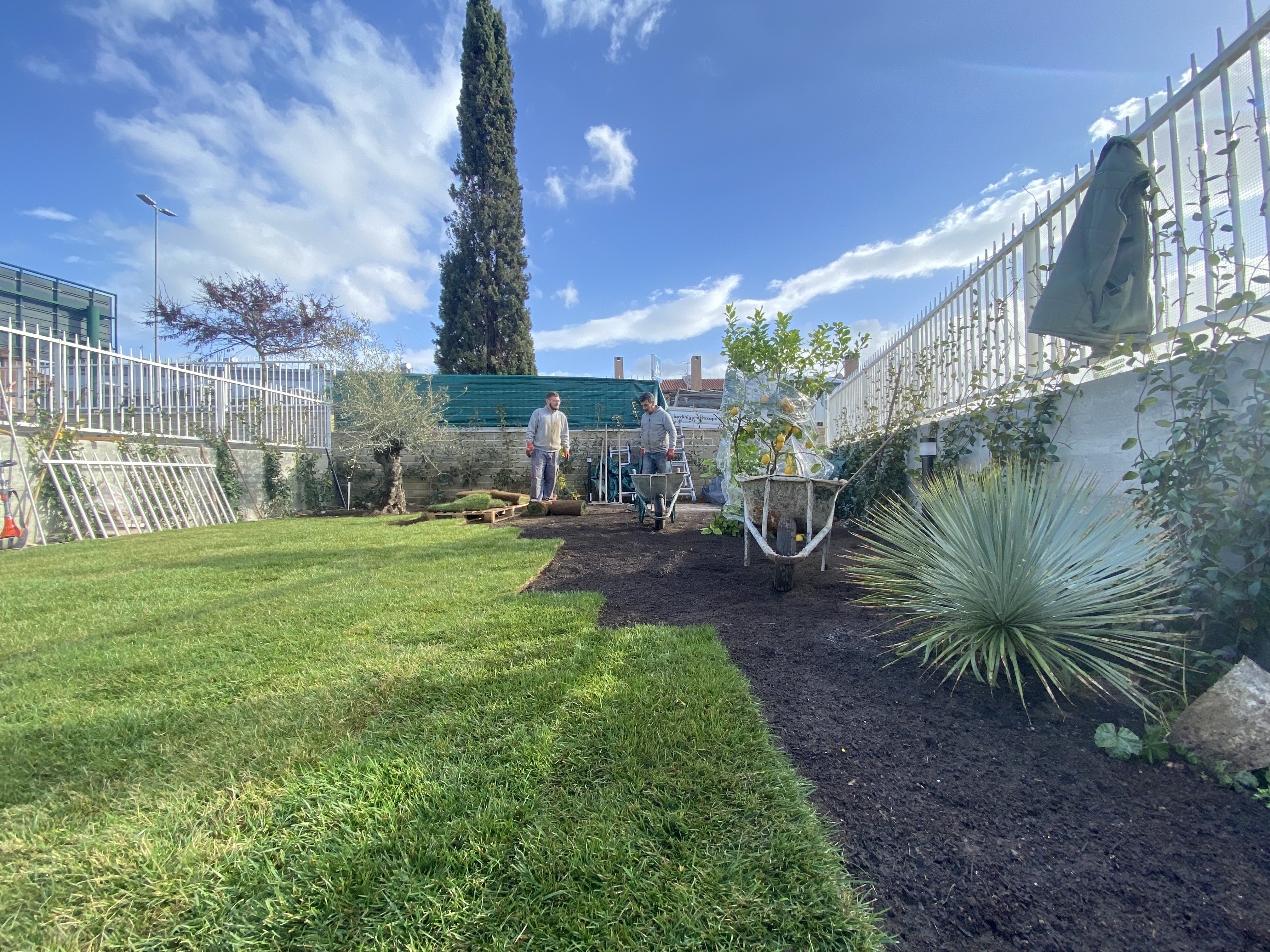 giardini-e-paesaggi-di-giannelli-alessandro