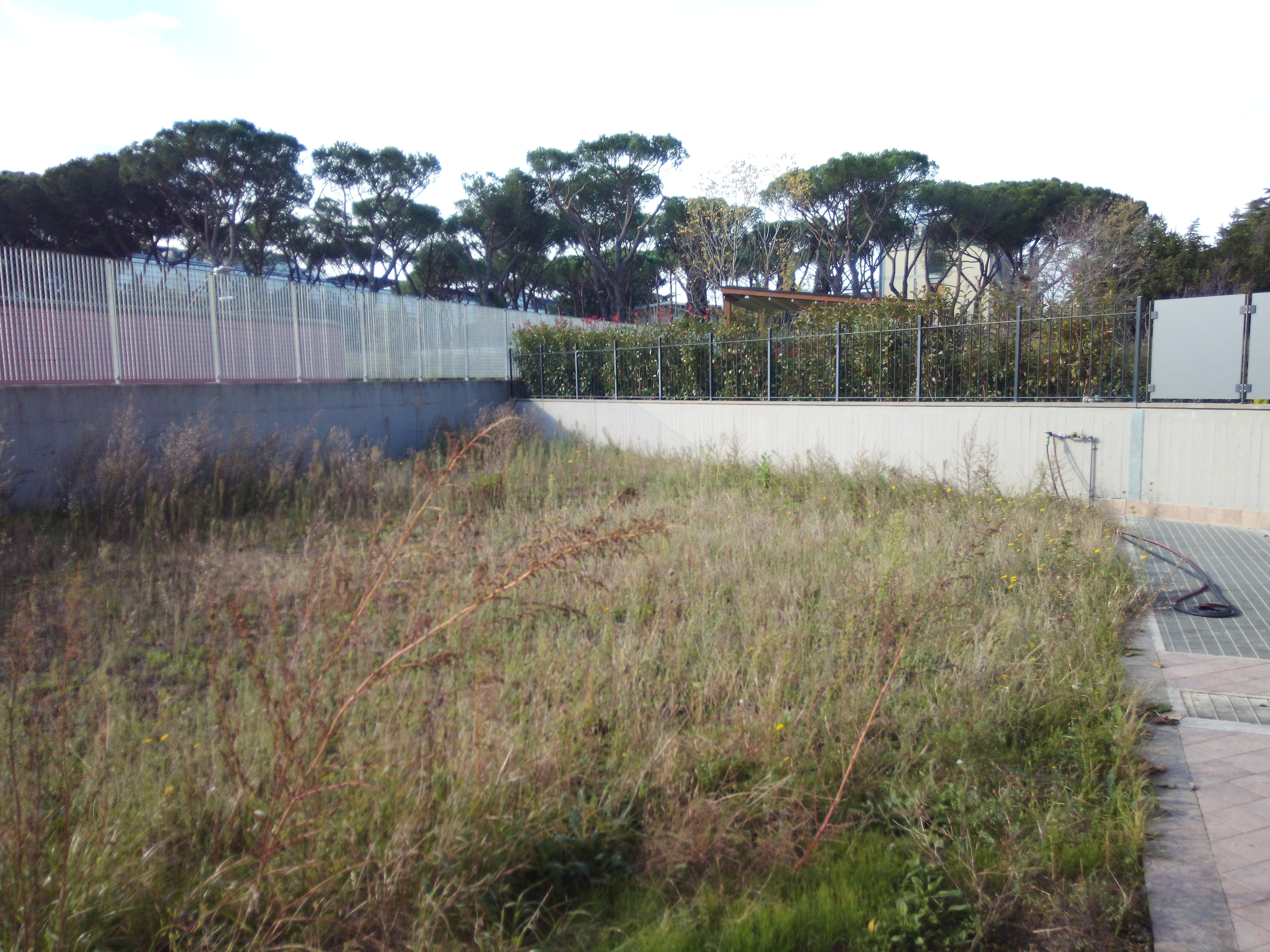 giardini-e-paesaggi-di-giannelli-alessandro